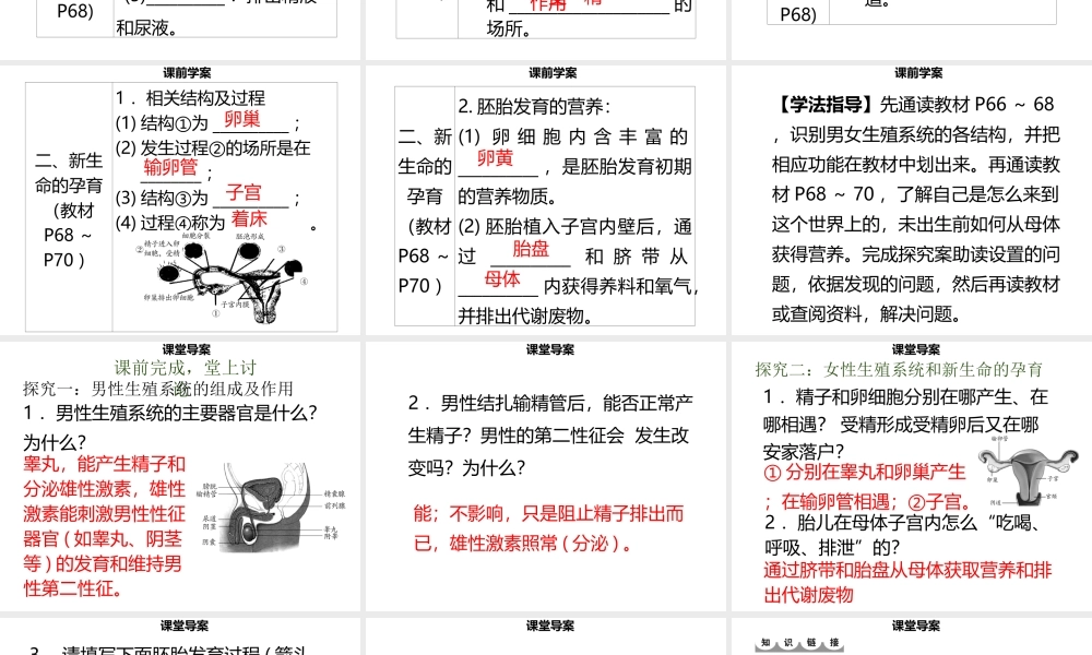 八年级生物上册 第六单元 第19章 第1节 人的生殖和发育（第1课时 人的生殖系统）习题课件 （新版）北师大版-（新版）北师大版初中八年级上册生物课件