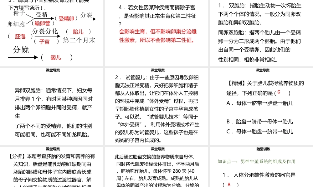 八年级生物上册 第六单元 第19章 第1节 人的生殖和发育（第1课时 人的生殖系统）习题课件 （新版）北师大版-（新版）北师大版初中八年级上册生物课件