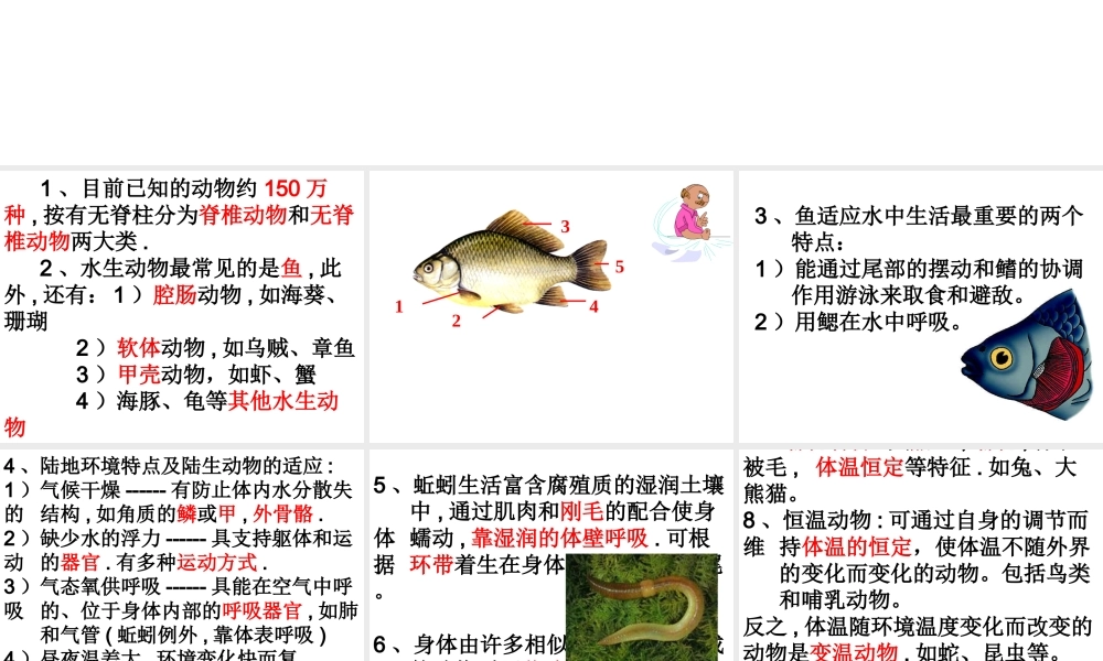 八年级生物上册 第五单元 第一章 生物圈中的其他生物课件 新人教版