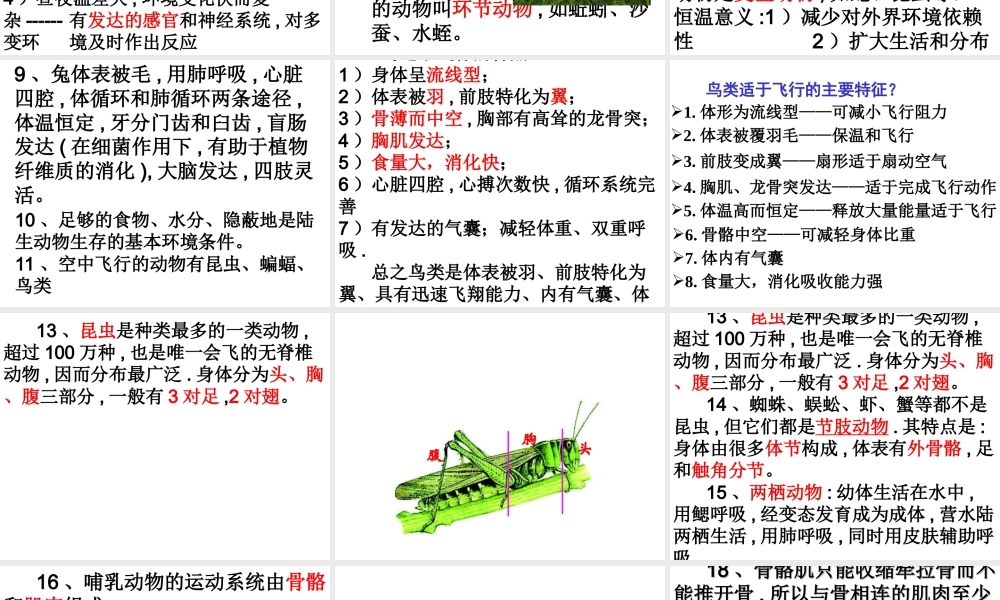 八年级生物上册 第五单元 第一章 生物圈中的其他生物课件 新人教版