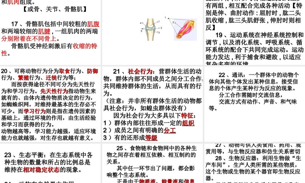 八年级生物上册 第五单元 第一章 生物圈中的其他生物课件 新人教版