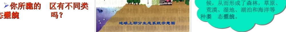 八年级生物上册 第六单元 第二章 认识生物的多样性课件3 新人教版
