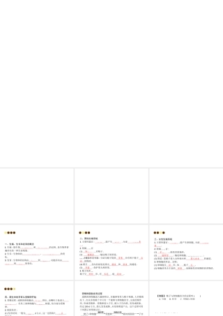 八年级生物上册 第六单元 第19章 第1节 人的生殖和发育（第1课时 人的生殖系统及新生命的孕育）课件 （新版）北师大版-（新版）北师大版初中八年级上册生物课件