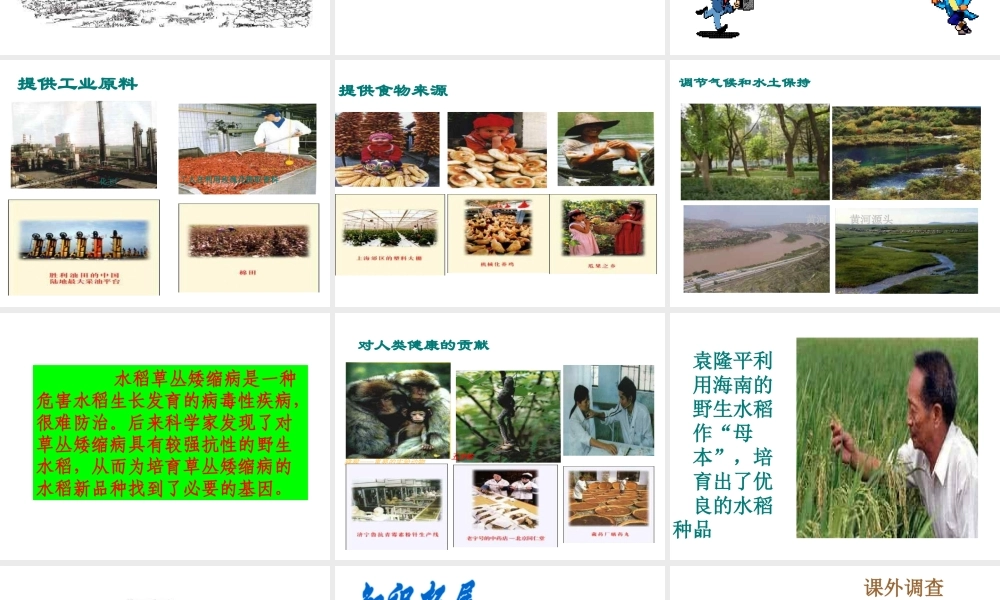 八年级生物上册 第六单元 第二章 认识生物的多样性课件4 新人教版