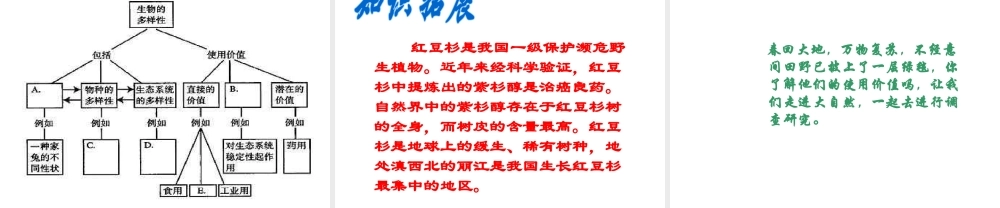 八年级生物上册 第六单元 第二章 认识生物的多样性课件4 新人教版
