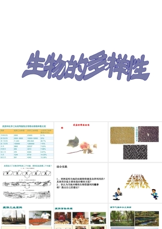 八年级生物上册 第六单元 第二章 认识生物的多样性课件4 新人教版