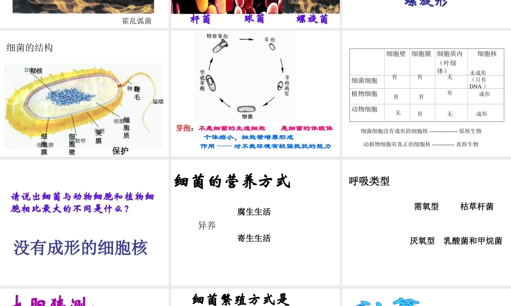 八年级生物上册 第五单元 第一章 细菌的控制和利用课件 冀教版-冀教级上册生物课件