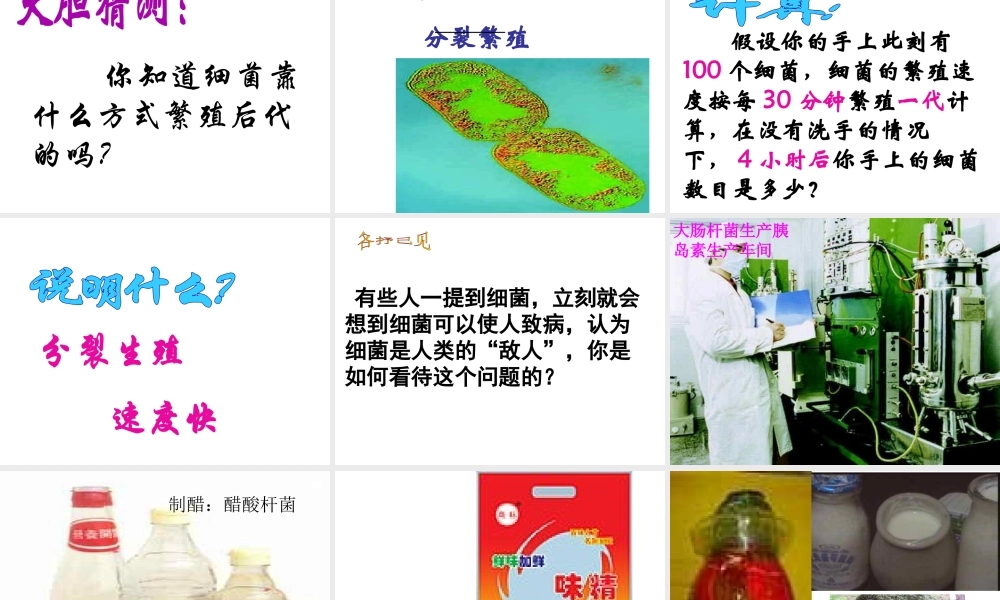 八年级生物上册 第五单元 第一章 细菌的控制和利用课件 冀教版-冀教级上册生物课件