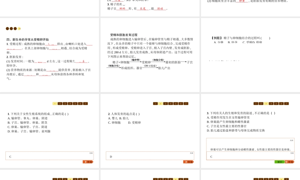 八年级生物上册 第六单元 第19章 第1节 人的生殖和发育（第1课时 人的生殖系统及新生命的孕育）课件 （新版）北师大版-（新版）北师大级上册生物课件