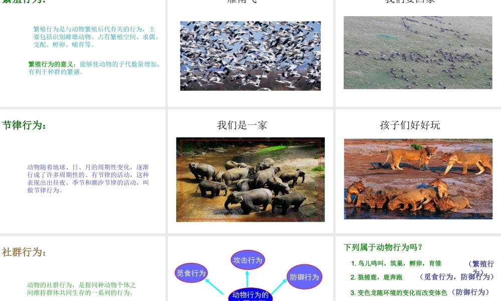 八年级生物上册 第四单元 第二章 第二节 动物行为的类型课件 冀少版-人教级上册生物课件