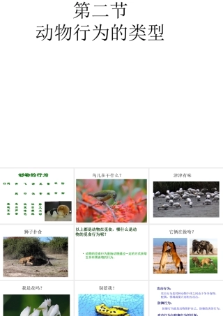 八年级生物上册 第四单元 第二章 第二节 动物行为的类型课件 冀少版-人教级上册生物课件