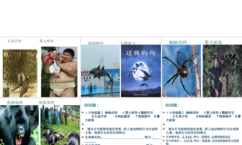 八年级生物上册 第五单元 第二章 第二节 先天性行为和学习行为课件 （新版）新人教版