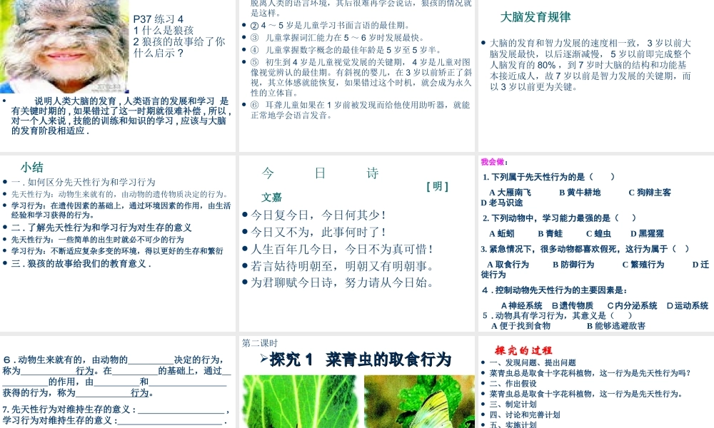 八年级生物上册 第五单元 第二章 第二节 先天性行为和学习行为课件 （新版）新人教版