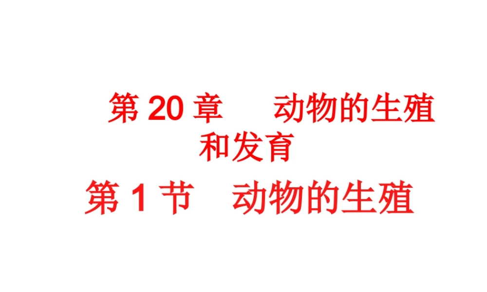 八年级生物上册 第第1节 动物的生殖课件 （新版）苏科版-（新版）苏科级上册生物课件