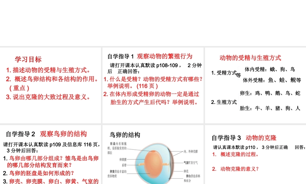 八年级生物上册 第第1节 动物的生殖课件 （新版）苏科版-（新版）苏科级上册生物课件