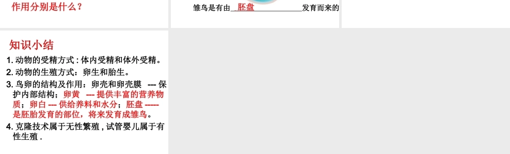 八年级生物上册 第第1节 动物的生殖课件 （新版）苏科版-（新版）苏科级上册生物课件