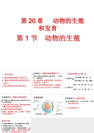 八年级生物上册 第第1节 动物的生殖课件 （新版）苏科版-（新版）苏科级上册生物课件