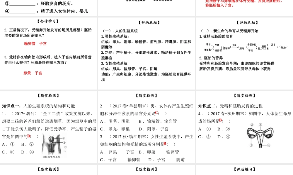 八年级生物上册 第六单元 第19章 第1节 人的生殖和发育（第1课时）课件 （新版）北师大版-（新版）北师大版初中八年级上册生物课件