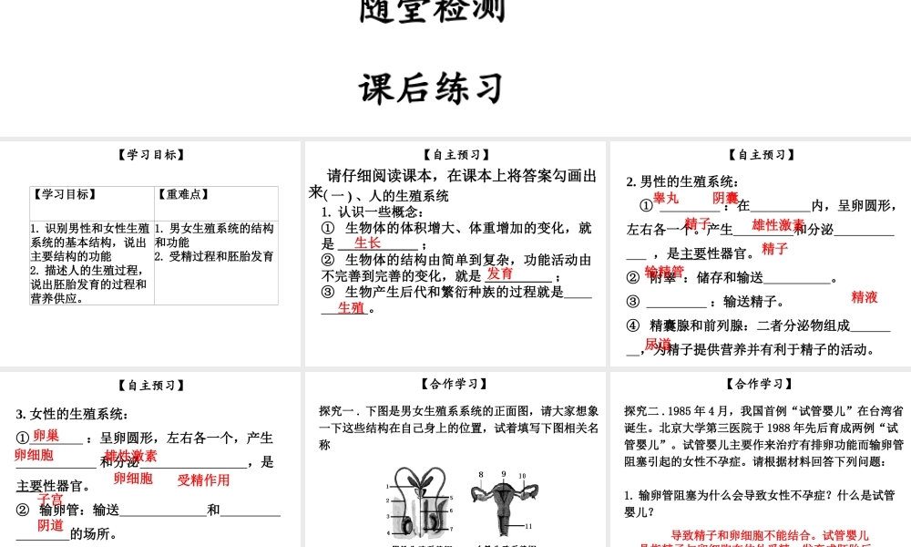 八年级生物上册 第六单元 第19章 第1节 人的生殖和发育（第1课时）课件 （新版）北师大版-（新版）北师大级上册生物课件