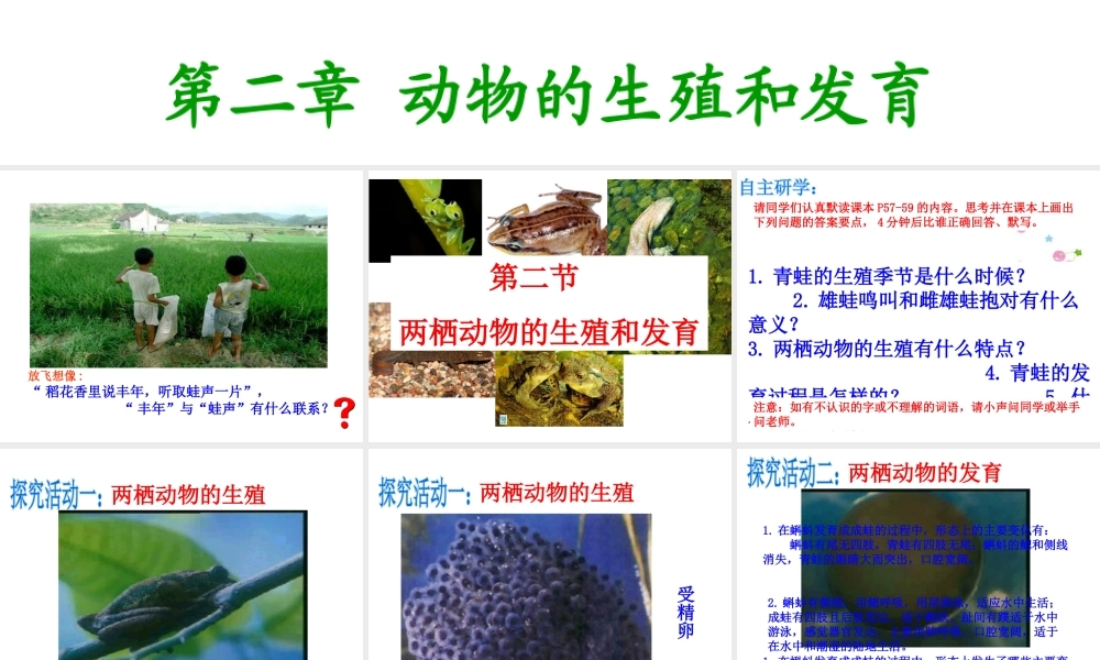 八年级生物上册 第四单元 第二章 第二节 两栖动物的生殖和发育课件 （新版）济南版-（新版）济南级上册生物课件