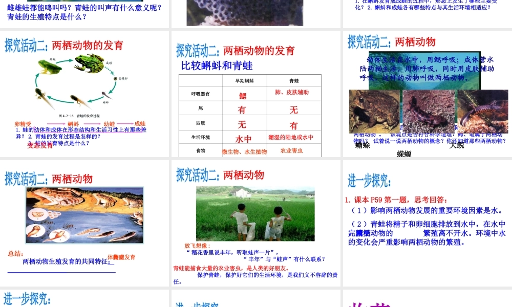 八年级生物上册 第四单元 第二章 第二节 两栖动物的生殖和发育课件 （新版）济南版-（新版）济南级上册生物课件