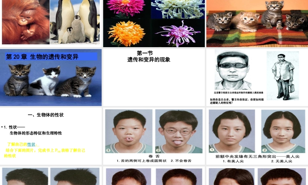 八年级生物上册 第第1节 遗传和变异的现象课件 北师大版-北师大级上册生物课件