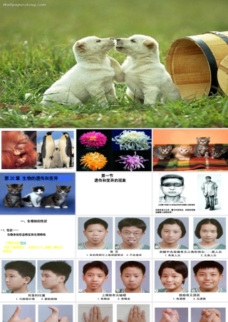 八年级生物上册 第第1节 遗传和变异的现象课件 北师大版-北师大级上册生物课件