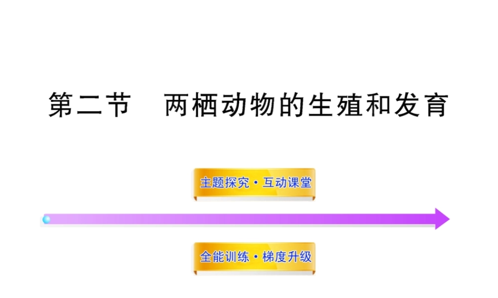 八年级生物上册 第四单元 第二章 第二节 两栖动物的生殖和发育课件 济南版