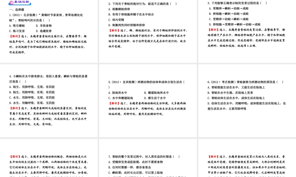 八年级生物上册 第四单元 第二章 第二节 两栖动物的生殖和发育课件 济南版