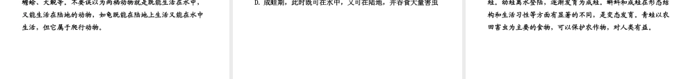 八年级生物上册 第四单元 第二章 第二节 两栖动物的生殖和发育课件 济南版