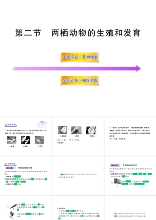 八年级生物上册 第四单元 第二章 第二节 两栖动物的生殖和发育课件 济南版