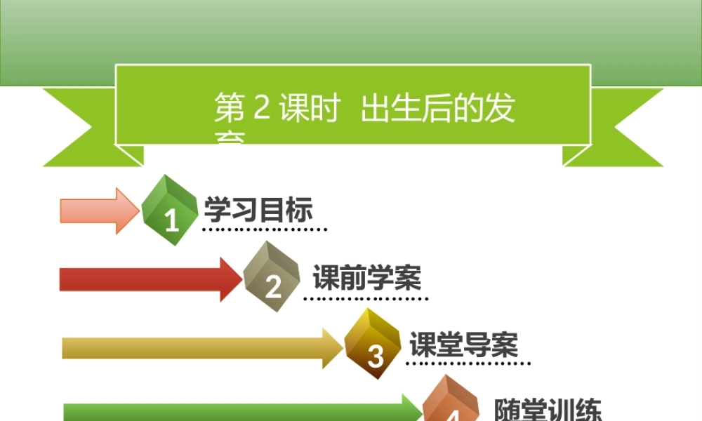 八年级生物上册 第六单元 第19章 第1节 人的生殖和发育（第2课时 出生后的发育）习题课件 （新版）北师大版-（新版）北师大级上册生物课件