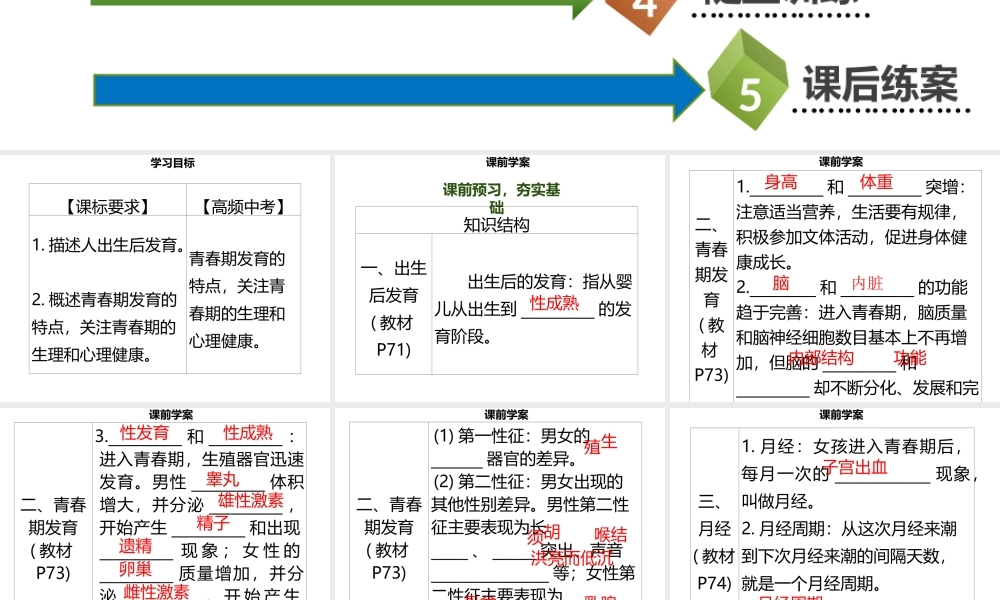 八年级生物上册 第六单元 第19章 第1节 人的生殖和发育（第2课时 出生后的发育）习题课件 （新版）北师大版-（新版）北师大级上册生物课件
