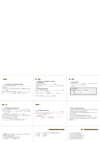 八年级生物上册 第六单元 第19章 第1节 人的生殖和发育（第2课时 出生后发育及生理卫生）课件 （新版）北师大版-（新版）北师大版初中八年级上册生物课件