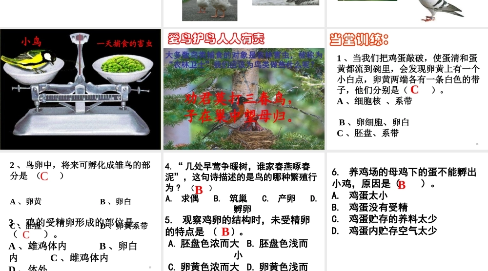 八年级生物上册 第四单元 第二章 第三节 鸟的生殖和发育课件 （新版）济南版-（新版）济南级上册生物课件