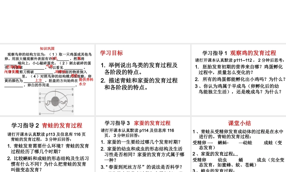 八年级生物上册 第第2节 动物的发育课件 （新版）苏科版-（新版）苏科级上册生物课件