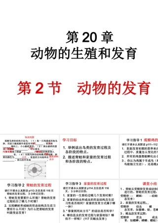 八年级生物上册 第第2节 动物的发育课件 （新版）苏科版-（新版）苏科级上册生物课件