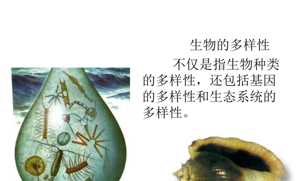 八年级生物上册 第六单元 第二章《 认识生物的多样性》课件 新人教版