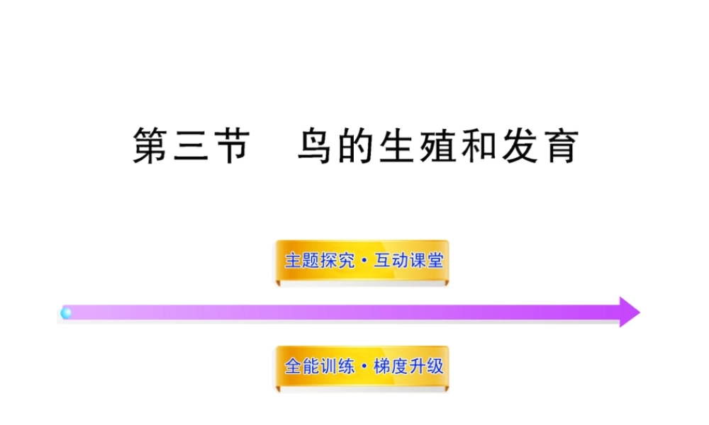 八年级生物上册 第四单元 第二章 第三节 鸟的生殖和发育课件 济南版