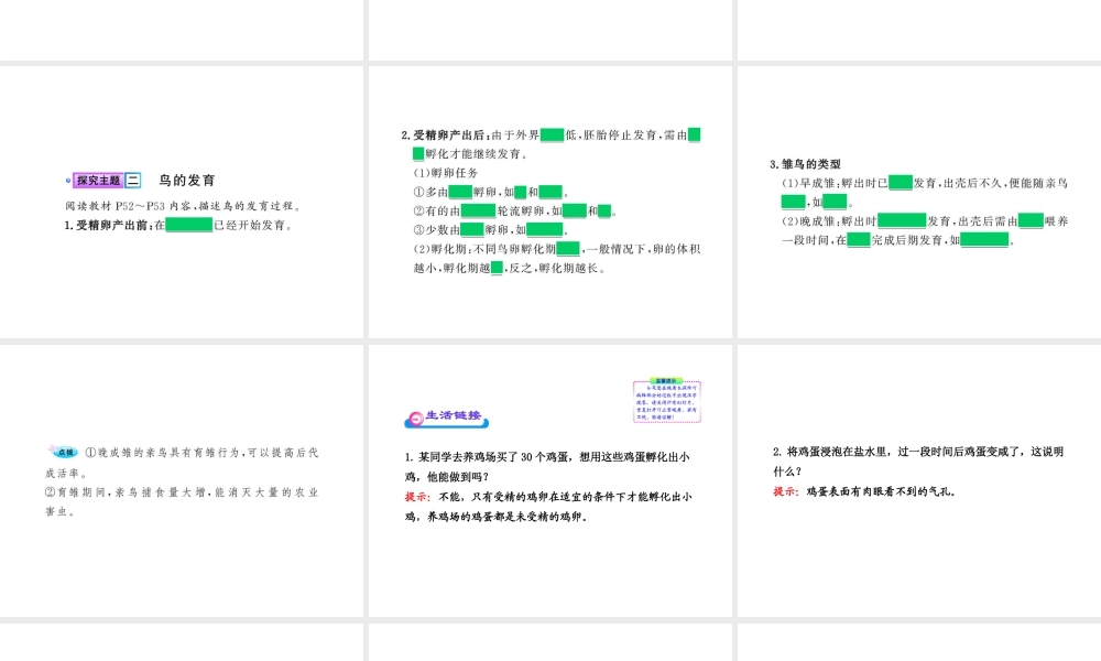 八年级生物上册 第四单元 第二章 第三节 鸟的生殖和发育课件 济南版