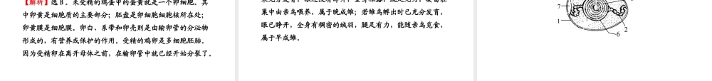 八年级生物上册 第四单元 第二章 第三节 鸟的生殖和发育课件 济南版