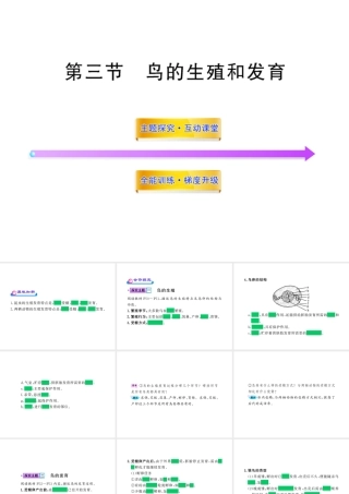八年级生物上册 第四单元 第二章 第三节 鸟的生殖和发育课件 济南版