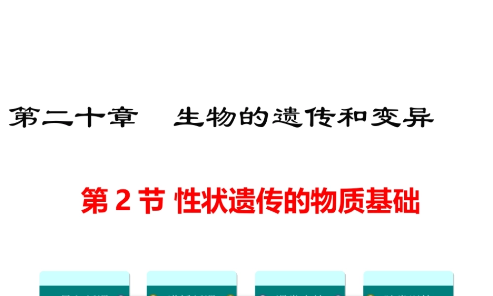八年级生物上册 第第2节 性状遗传的物质基础课件 （新版）北师大版-（新版）北师大级上册生物课件