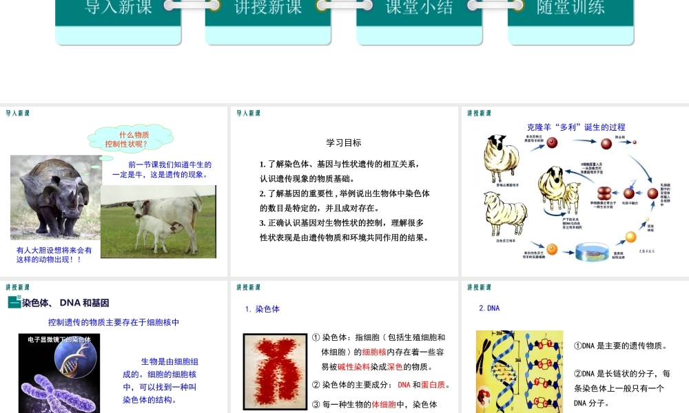 八年级生物上册 第第2节 性状遗传的物质基础课件 （新版）北师大版-（新版）北师大级上册生物课件
