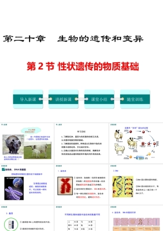 八年级生物上册 第第2节 性状遗传的物质基础课件 （新版）北师大版-（新版）北师大级上册生物课件