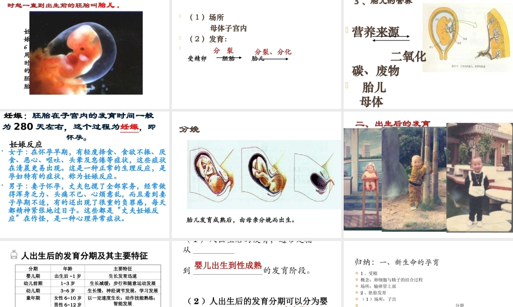 八年级生物上册 第六单元 第19章 第1节 人的生殖和发育（第2课时 新生命的孕育及出生后的发育）教学课件 北师大版-北师大版初中八年级上册生物课件