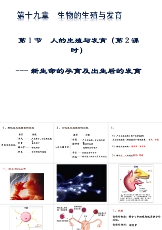 八年级生物上册 第六单元 第19章 第1节 人的生殖和发育（第2课时 新生命的孕育及出生后的发育）教学课件 北师大版-北师大版初中八年级上册生物课件