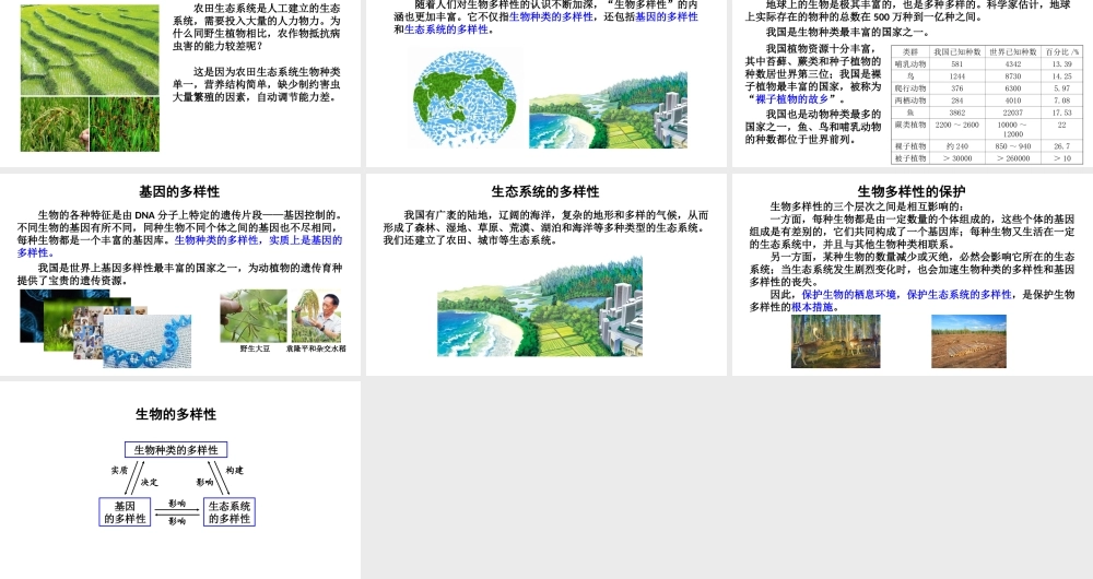 八年级生物上册 第六单元 第二章《认识生物的多样性》课件 （新版）新人教版-（新版）新人教版初中八年级上册生物课件