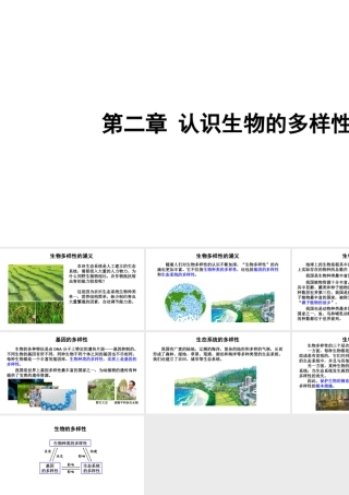 八年级生物上册 第六单元 第二章《认识生物的多样性》课件 （新版）新人教版-（新版）新人教版初中八年级上册生物课件