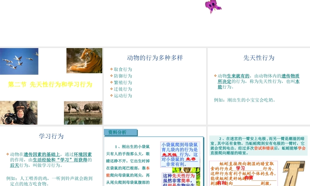 八年级生物上册 第四单元 第二章 第三节 先天性行为和学习行为课件 冀少版-人教级上册生物课件